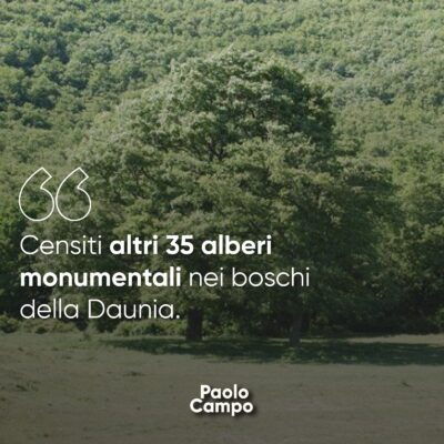 Censiti altri 35 alberi monumentali nei boschi della Daunia